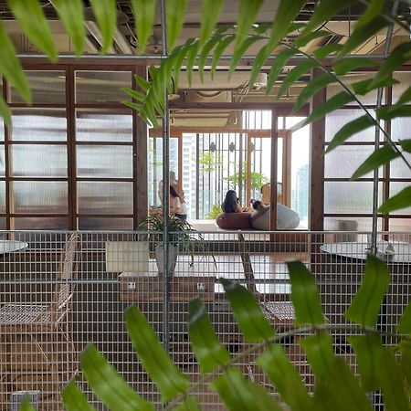 Star Hostel Taichung Parklane Exteriör bild